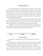 Organizacijos strategijos formavimo esmė ir eiga 16 puslapis