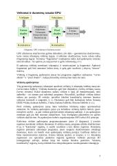 Trimatės grafikos spartintuvai 3 puslapis