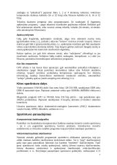 Trimatės grafikos spartintuvai 7 puslapis