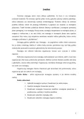 Organizacijos strategija. Jos kūrimo modeliai 2 puslapis