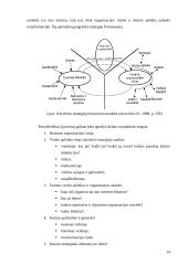 Organizacijos strategija. Jos kūrimo modeliai 14 puslapis