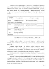 Organizacijos strategija. Jos kūrimo modeliai 16 puslapis