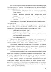 Organizacijos strategija. Jos kūrimo modeliai 19 puslapis