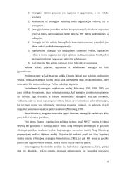 Organizacijos strategija. Jos kūrimo modeliai 10 puslapis