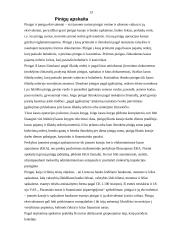 Trumpalaikis turtas. Piniginio turto apskaita 13 puslapis