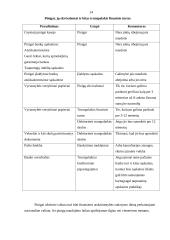 Trumpalaikis turtas. Piniginio turto apskaita 14 puslapis