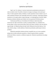 Trumpalaikis turtas. Piniginio turto apskaita 17 puslapis