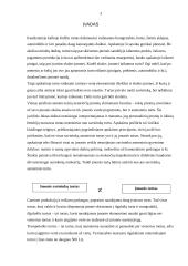 Trumpalaikis turtas. Piniginio turto apskaita 3 puslapis