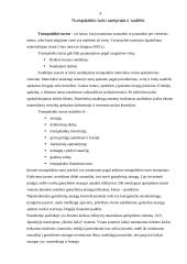 Trumpalaikis turtas. Piniginio turto apskaita 4 puslapis