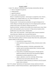 Trumpalaikis turtas. Piniginio turto apskaita 7 puslapis