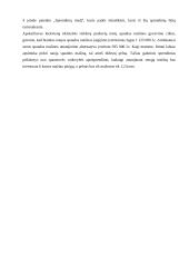 Organizacijos valdymo sistemos modeliavimas: UAB "A. Jakšto spaustuvė" 12 puslapis