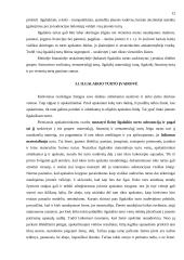 Turto esmė apskaitoje 11 puslapis