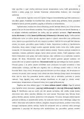 Turto esmė apskaitoje 13 puslapis