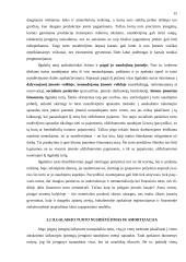 Turto esmė apskaitoje 14 puslapis