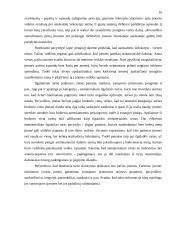 Turto esmė apskaitoje 15 puslapis