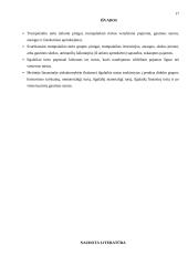 Turto esmė apskaitoje 16 puslapis