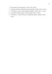 Turto esmė apskaitoje 17 puslapis