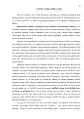 Turto esmė apskaitoje 3 puslapis