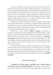 Turto esmė apskaitoje 5 puslapis