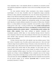 Turto esmė apskaitoje 6 puslapis