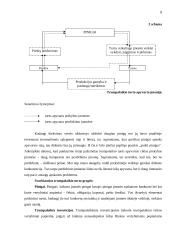 Turto esmė apskaitoje 7 puslapis