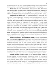 Turto esmė apskaitoje 8 puslapis