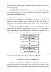 Organizacijos veiklos įvertinimas pagal 14 E.W. Demingo kokybės vadybos programos punktų 7 puslapis