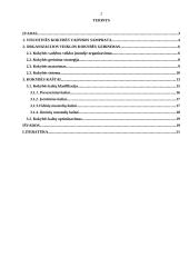 Organizacijos veiklos kokybės gerinimas ir kokybės kaštų mažinimas 2 puslapis