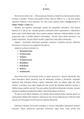 Ūkinių operacijų fiksavimas: buhalterinių dokumentų įforminimo principai ir taisyklės 2 puslapis