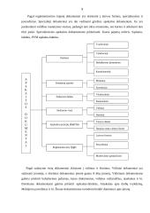 Ūkinių operacijų fiksavimas: buhalterinių dokumentų įforminimo principai ir taisyklės 5 puslapis
