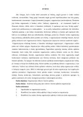 Organizacijos vidinė ir išorinė aplinka: siuvykla AB "Lelija" 2 puslapis