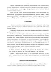 Organizacijos vidinė ir išorinė aplinka: siuvykla AB "Lelija" 13 puslapis