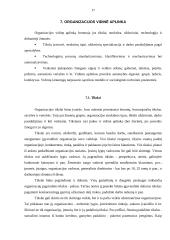 Organizacijos vidinė ir išorinė aplinka: siuvykla AB "Lelija" 17 puslapis