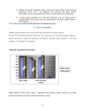 Paauglių higienos įpročiai: Žemynos gimnazijos 9 klasių mokinių asmeninė higiena 14 puslapis