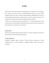 Paauglių higienos įpročiai: Žemynos gimnazijos 9 klasių mokinių asmeninė higiena 3 puslapis