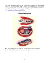 Paauglių higienos įpročiai: Žemynos gimnazijos 9 klasių mokinių asmeninė higiena 6 puslapis