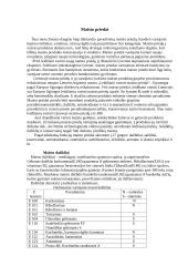 Vaisvandeniai 4 puslapis