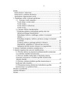 Papuošalų gamybos verslas 2 puslapis