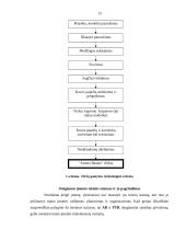 Papuošalų gamybos verslas 13 puslapis