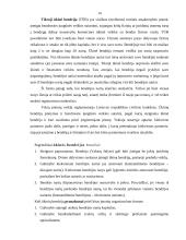 Papuošalų gamybos verslas 14 puslapis