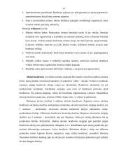 Papuošalų gamybos verslas 15 puslapis