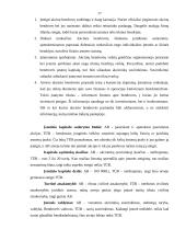 Papuošalų gamybos verslas 17 puslapis