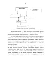 Papuošalų gamybos verslas 19 puslapis
