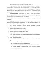 Papuošalų gamybos verslas 7 puslapis