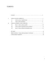 Vidaus ir išorės audito santykis 2 puslapis