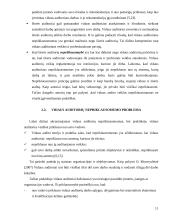 Vidaus ir išorės audito santykis 12 puslapis