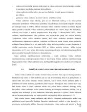 Vidaus ir išorės audito santykis 13 puslapis