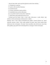 Vidaus ir išorės audito santykis 16 puslapis