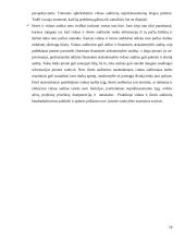 Vidaus ir išorės audito santykis 19 puslapis