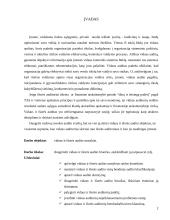 Vidaus ir išorės audito santykis 3 puslapis